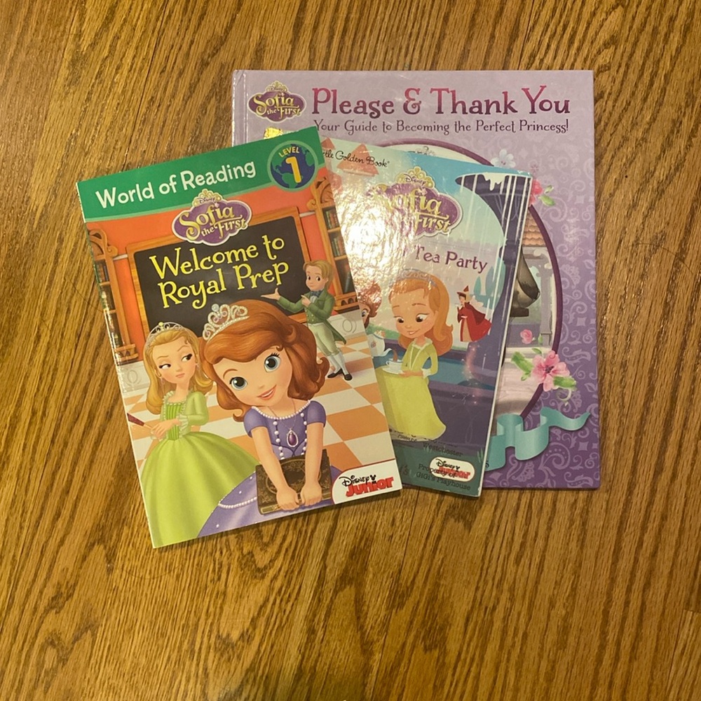 Sofia the First book bundle